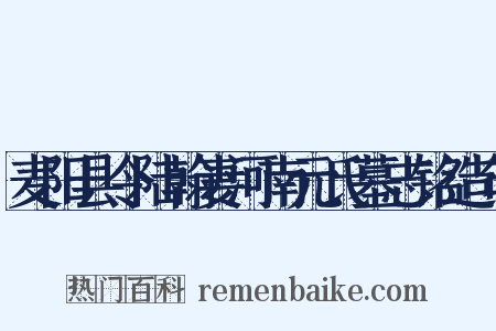 麦阳县令陆翰妻河南元氏墓志铭造句是什么意思的图片